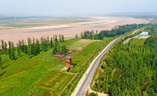 这是2022年8月10日在河南省三门峡市拍摄的黄河生态廊道（无人机照片）。新华社记者 郝源 摄