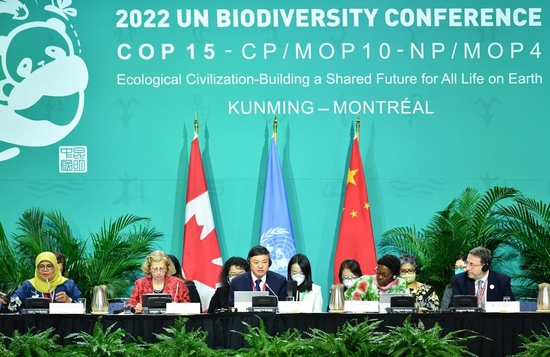 这是2022年12月15日在加拿大蒙特利尔拍摄的《生物多样性公约》第十五次缔约方大会（COP15）第二阶段高级别会议现场。（新华社记者连漪摄）