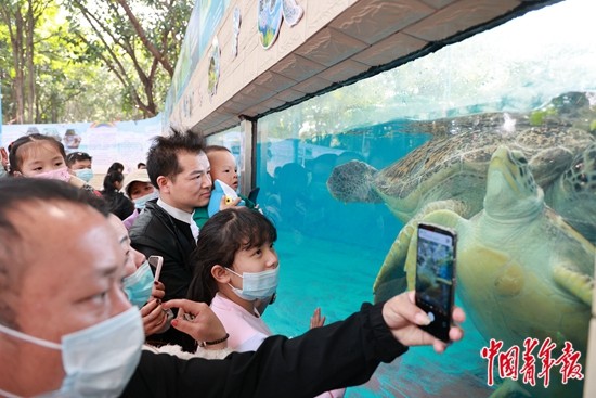 1月30日，广西壮族自治区南宁市，游客在南宁动物园观赏海龟。据文化和旅游部数据，今年春节假期全国国内旅游出游3.08亿人次，同比增长23.1%。中青报·中青网记者 谢洋/摄